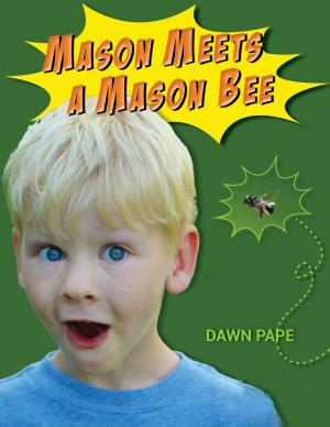 Book cover of Mason Meets a Mason Bee