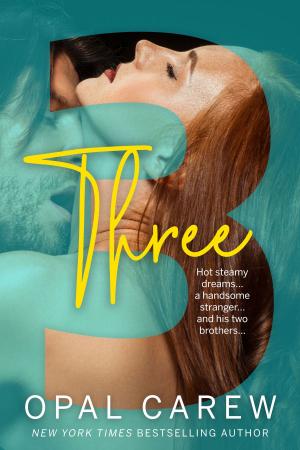 Cover of the book Three by Amber Carew, Opal Carew