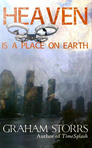 Cover of the book Heaven is a Place on Earth by Chris DeBrie