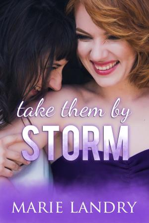 bigCover of the book Take Them by Storm by 