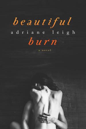 Cover of the book Beautiful Burn by Jacqueline George