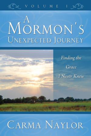 Cover of the book A Mormon's Unexpected Journey by Kimberly Schimmel