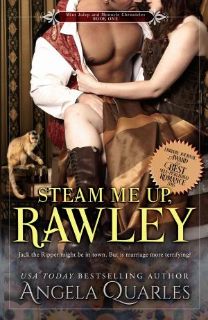 Cover of the book Steam Me Up, Rawley by K.M. Aul