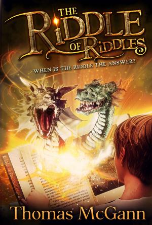 Cover of the book The Riddle of Riddles by Stormy Smith
