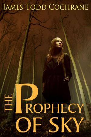 bigCover of the book The Prophecy of Sky by 
