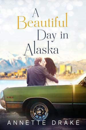 Cover of A Beautiful Day in Alaska