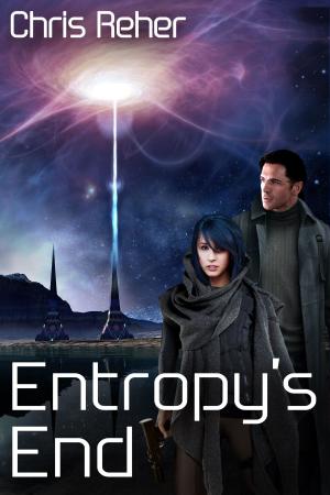 Cover of the book Entropy's End by Andrea Bindella