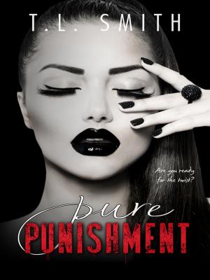 Cover of the book Pure Punishment by Barbara Griffin Villemez