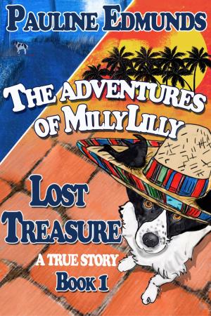 bigCover of the book Lost Treasure Book 1 from the series The Adventures of Millylilly by 