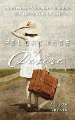 Book cover of Pilgrimage of Desire