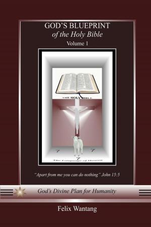 bigCover of the book God's Blueprint of the Holy Bible: Volume One (Read Chapter One) by 