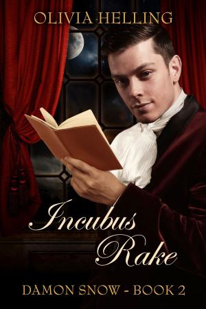 Cover of the book Incubus Rake by Shea Malloy, Juno Wells