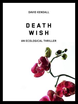 Book cover of Death Wish