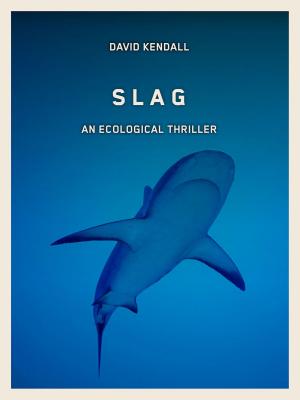 Cover of the book Slag by D. C. Rhind