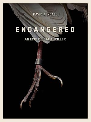Cover of the book Endangered by Stanley Ellin
