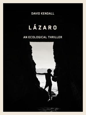Book cover of Lazaro