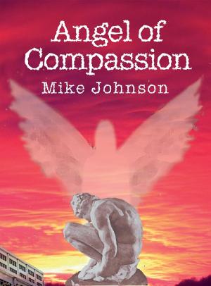 Cover of the book Angel of Compassion by Kari O'Gorman