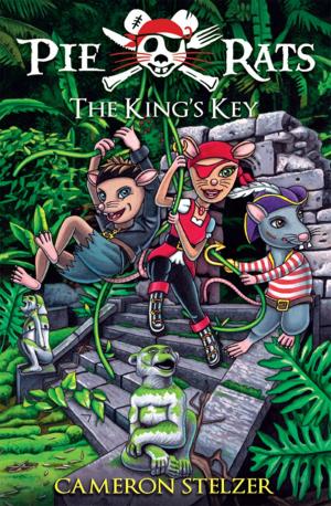 Book cover of The King's Key