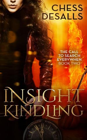 Cover of the book Insight Kindling by Brian Paone