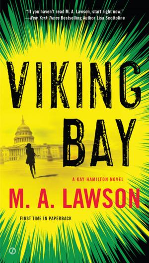 Cover of the book Viking Bay by Tabor Evans