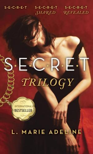 Cover of the book SECRET Trilogy by Virginia Flowers