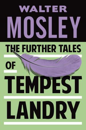 Cover of the book The Further Tales of Tempest Landry by Floyd Larck