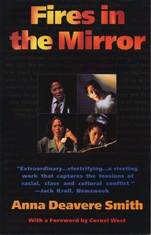 Cover of the book Fires in the Mirror by Adam Bennett