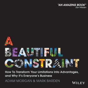 Cover of the book A Beautiful Constraint by Christophe Saudemont, Bruno François, Benoît Robyns, Gauthier Delille