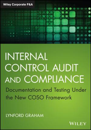 Cover of the book Internal Control Audit and Compliance by David Mint