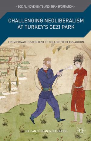 Cover of the book Challenging Neoliberalism at Turkey’s Gezi Park by Lisa A. Kramer, Judy Freedman Fask
