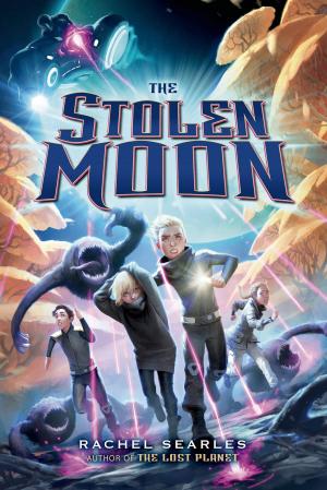 Cover of the book The Stolen Moon by Amber Ivers