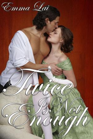 Cover of the book Twice is Not Enough by A. Regina Cantatis
