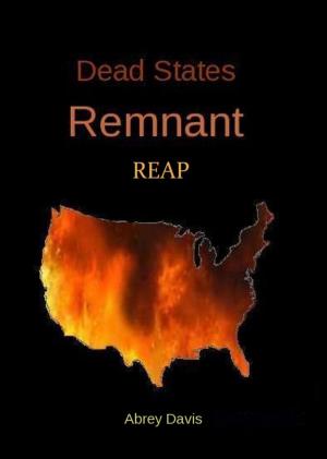Cover of the book Dead States: Remnant REAP by Sakurapu