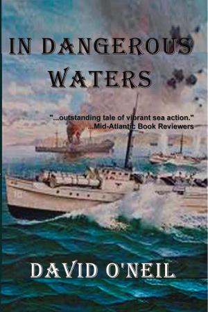 Cover of the book In Dangerous Waters by Margaret LeNois