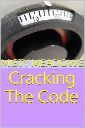 Cover of the book Cracking The Code (Femdom) by Misty Meadows