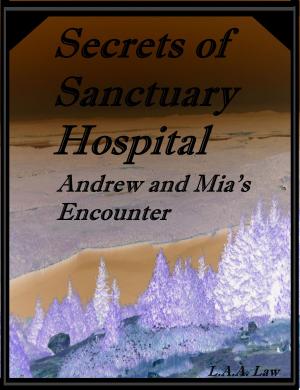 Cover of the book Secrets of Sanctuary Hospital Andrew and Mia's Encounter by Liz Black