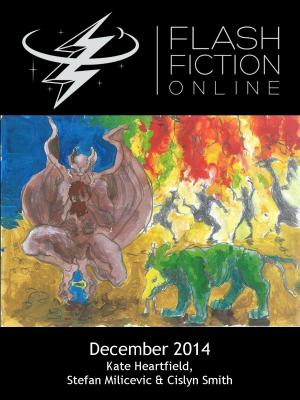 Book cover of Flash Fiction Online: December 2014