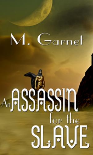 Cover of Assassin for the Slave, An