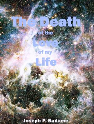 Book cover of The Death of the Love of my Life
