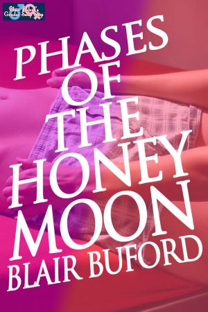 Cover of the book Phases of the Honeymoon by Daniel W. Barefoot