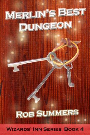 Book cover of Merlin's Best Dungeon