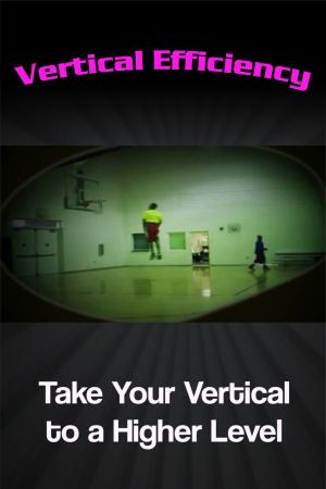 Cover of Vertical Efficiency: Take Your Vertical to a Higher Level