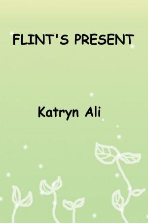 Book cover of Flint's Present
