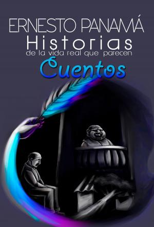 Cover of the book Historias de la vida real que parecen cuentos by Terence O'Grady