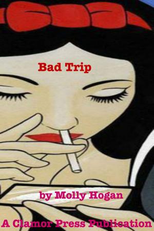 Cover of the book Bad Trip by Shawna Romkey