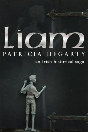 Cover of the book Liam, An Irish Historical Saga by Miranda Neville