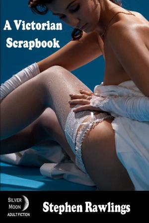 Cover of the book A Victorian Scrapbook by Steve Leggett