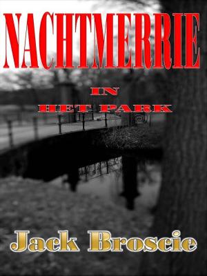 Book cover of Nachtmerrie in het Park