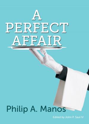 Cover of the book A Perfect Affair by Emiliano D'angelis