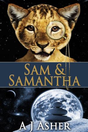 Book cover of Sam & Samantha